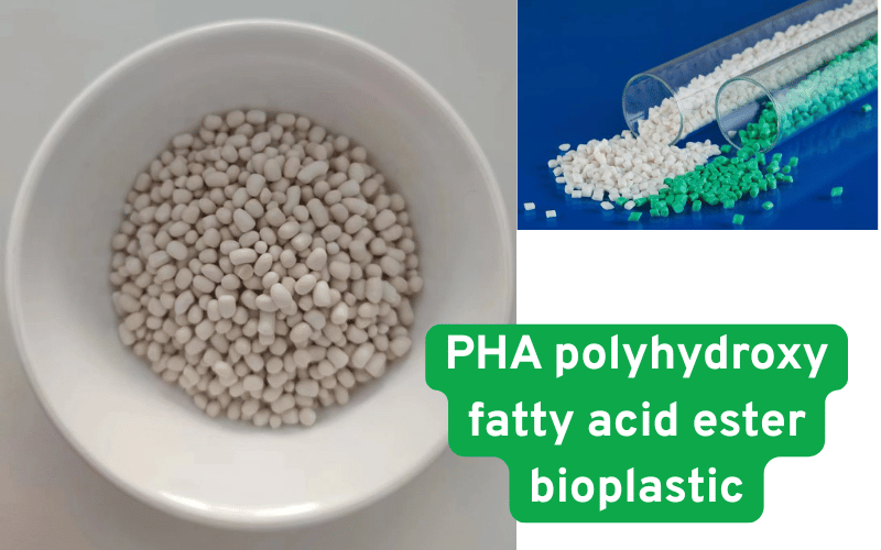 Bioplastique à base d'ester d'acide gras polyhydroxylé PHA
