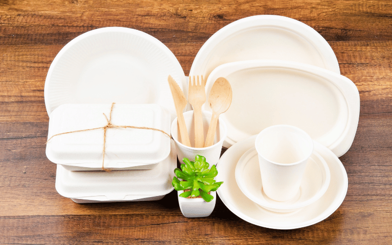 Bagasse Tableware