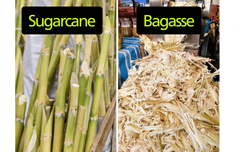 Piatti Compostabili 17,8 Cm In Bagassa Di Canna Da Zucchero | Piatto Usa E Getta Ecologico E Resistente | Confezione 125 Pezzi