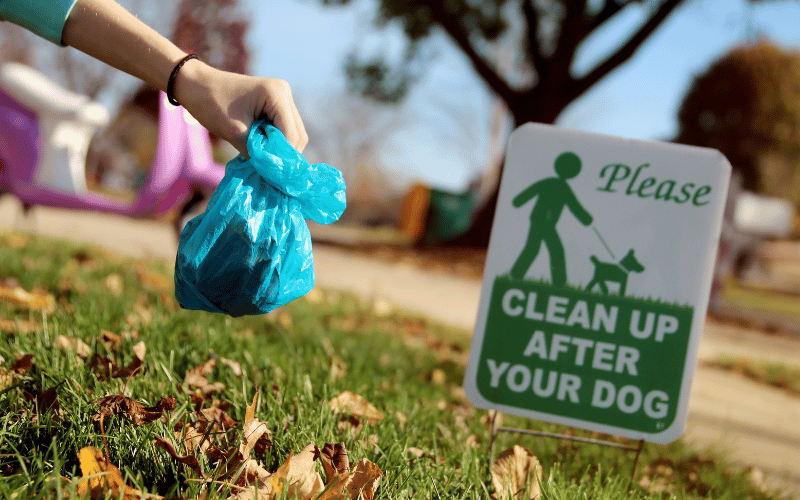 Biodegradable Dog Poop Bags1 Biodegradable Dog Poop Bags1
