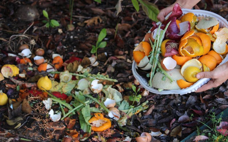 Backyard Composting Backyard Composting