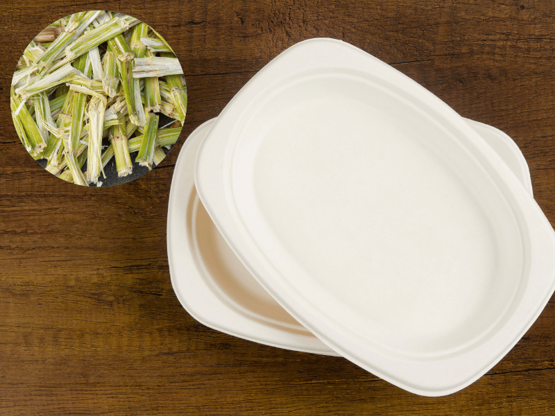 Bagasse and its Use in Food Packaging