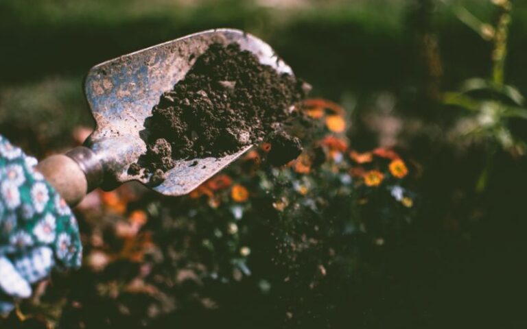 The Role of Composting in Modern Industries