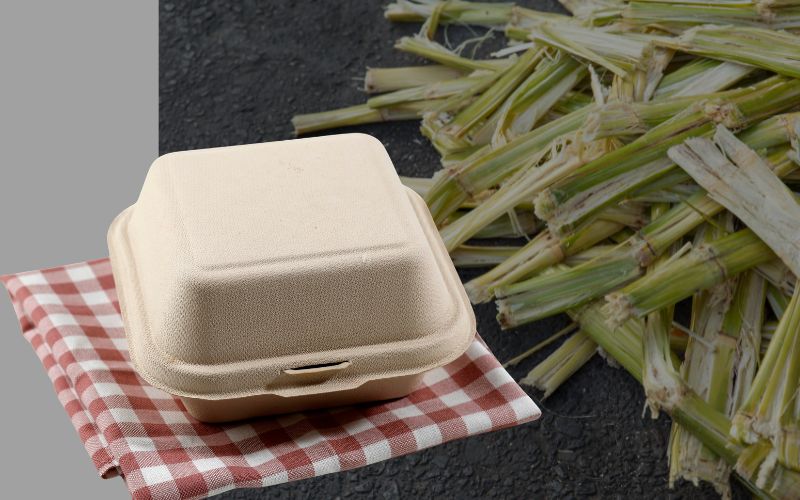 What is bagasse Properties, How its Made and Where