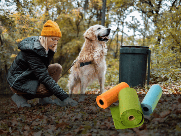 10 Things to Consider When Buying Biodegradable Dog Poop Bags