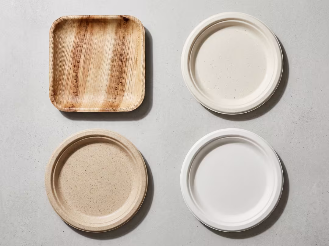 Palm leaf plate at event Compostable plate materials comparison